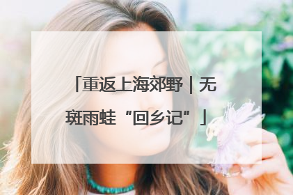 重返上海郊野｜无斑雨蛙“回乡记”