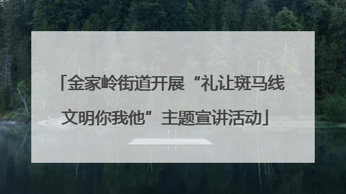 金家岭街道开展“礼让斑马线 文明你我他”主题宣讲活动