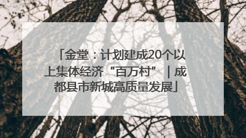 金堂：计划建成20个以上集体经济“百万村”｜成都县市新城高质量发展
