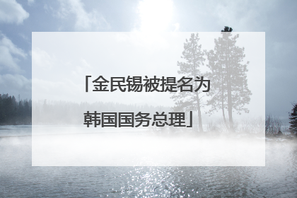 金民锡被提名为韩国国务总理