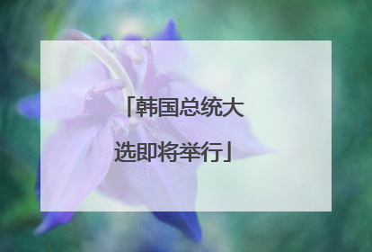 韩国总统大选即将举行