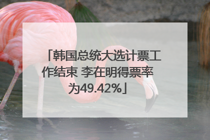 韩国总统大选计票工作结束 李在明得票率为49.42%