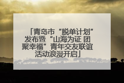 青岛市“脱单计划”发布暨“山海为证 团聚幸福”青年交友联谊活动浪漫开启