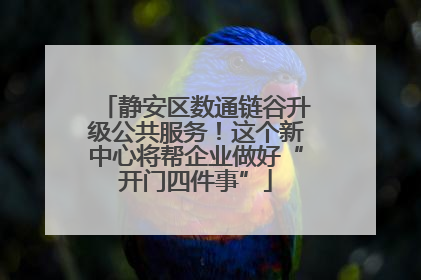 静安区数通链谷升级公共服务！这个新中心将帮企业做好“开门四件事”