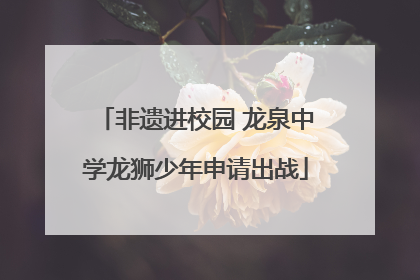 非遗进校园 龙泉中学龙狮少年申请出战