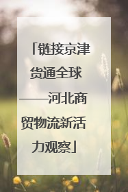 链接京津 货通全球——河北商贸物流新活力观察