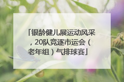 银龄健儿展运动风采，20队竞逐市运会（老年组）气排球赛