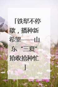 铁犁不停歇，播种新希望——山东“三夏”抢收抢种忙