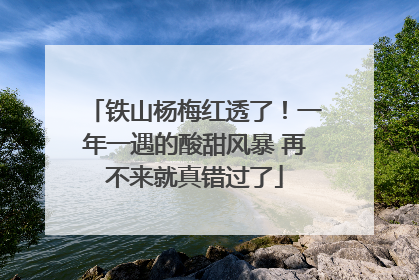 铁山杨梅红透了！一年一遇的酸甜风暴 再不来就真错过了