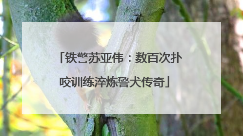 铁警苏亚伟：数百次扑咬训练淬炼警犬传奇