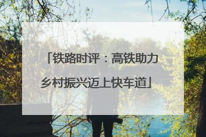 铁路时评：高铁助力乡村振兴迈上快车道