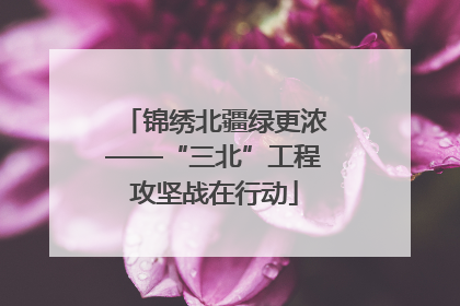 锦绣北疆绿更浓——“三北”工程攻坚战在行动