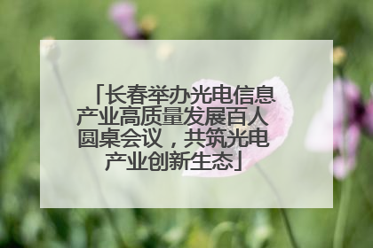 长春举办光电信息产业高质量发展百人圆桌会议，共筑光电产业创新生态
