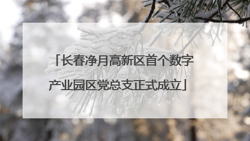 长春净月高新区首个数字产业园区党总支正式成立