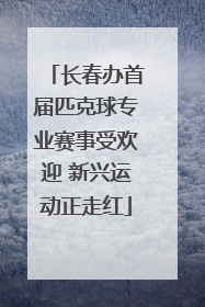 长春办首届匹克球专业赛事受欢迎 新兴运动正走红