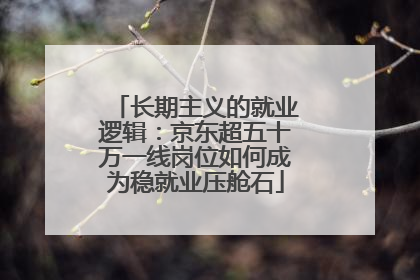 长期主义的就业逻辑：京东超五十万一线岗位如何成为稳就业压舱石
