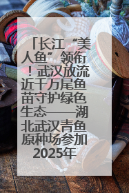 长江“美人鱼”领衔！武汉放流近千万尾鱼苗守护绿色生态——湖北武汉青鱼原种场参加2025年“全国放鱼日”增殖放流活动