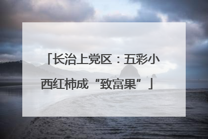 长治上党区：五彩小西红柿成“致富果”