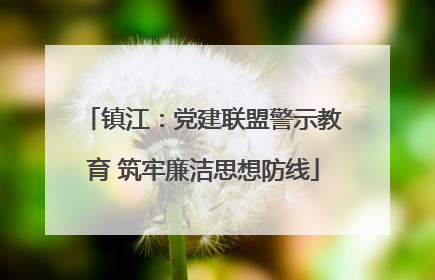 镇江：党建联盟警示教育 筑牢廉洁思想防线
