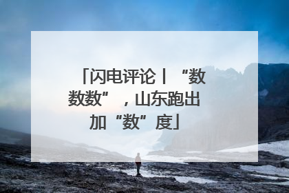 闪电评论丨“数数数”，山东跑出加“数”度