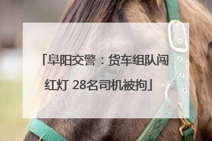 阜阳交警：货车组队闯红灯 28名司机被拘