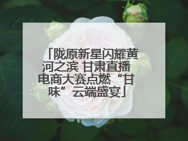 陇原新星闪耀黄河之滨 甘肃直播电商大赛点燃“甘味”云端盛宴