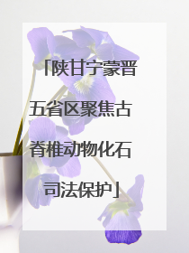 陕甘宁蒙晋五省区聚焦古脊椎动物化石司法保护