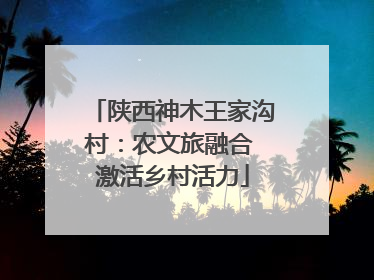 陕西神木王家沟村：农文旅融合 激活乡村活力