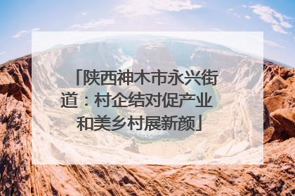陕西神木市永兴街道：村企结对促产业 和美乡村展新颜