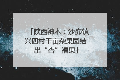 陕西神木：沙峁镇兴四村千亩杂果园结出“杏”福果