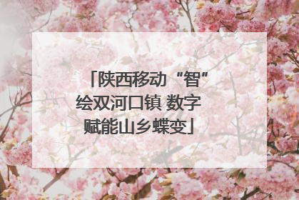 陕西移动“智”绘双河口镇 数字赋能山乡蝶变