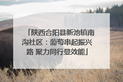 陕西合阳县新池镇南沟社区：葡萄串起振兴路 聚力同行显效能