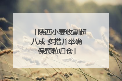 陕西小麦收割超八成 多措并举确保颗粒归仓
