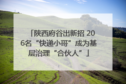 陕西府谷出新招 206名“快递小哥”成为基层治理“合伙人”
