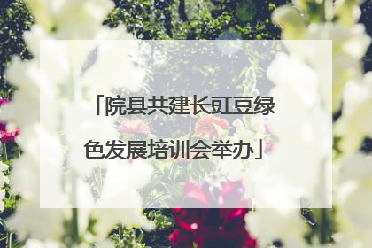 院县共建长豇豆绿色发展培训会举办