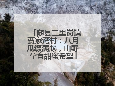 随县三里岗镇贾家湾村：八月瓜缀满藤，山野孕育甜蜜希望