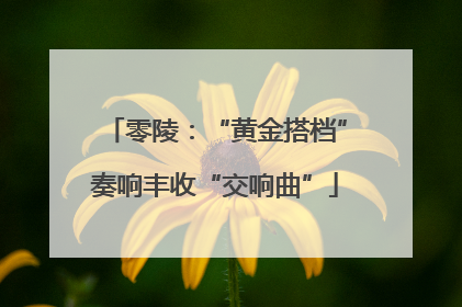 零陵：“黄金搭档”奏响丰收“交响曲”
