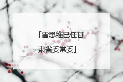 雷思维已任甘肃省委常委