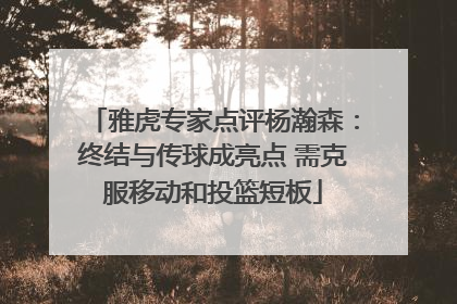 雅虎专家点评杨瀚森：终结与传球成亮点 需克服移动和投篮短板