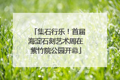 集石行乐！首届海淀石刻艺术周在紫竹院公园开幕