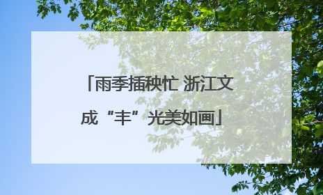 雨季插秧忙 浙江文成“丰”光美如画
