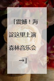 震撼！海淀这里上演森林音乐会→