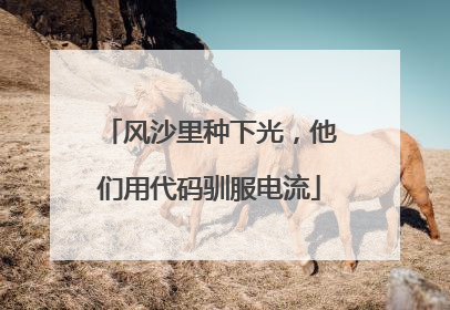 风沙里种下光，他们用代码驯服电流