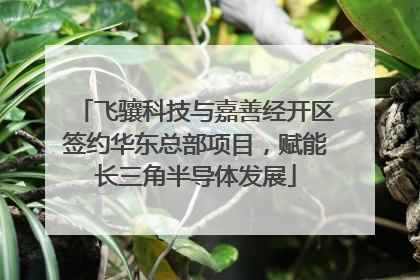 飞骧科技与嘉善经开区签约华东总部项目，赋能长三角半导体发展