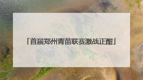 首届郑州青苗联赛激战正酣
