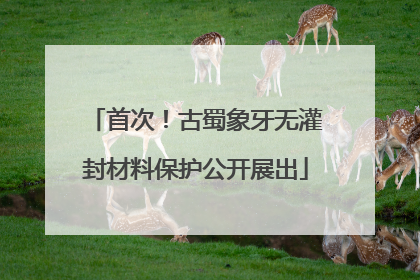 首次！古蜀象牙无灌封材料保护公开展出