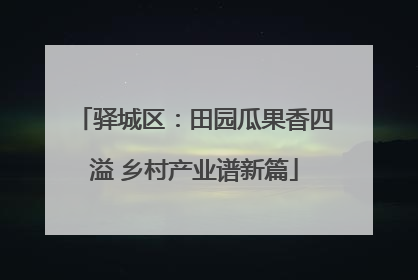 驿城区：田园瓜果香四溢 乡村产业谱新篇
