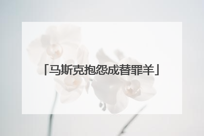 马斯克抱怨成替罪羊