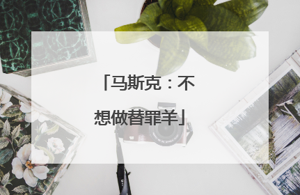 马斯克：不想做替罪羊