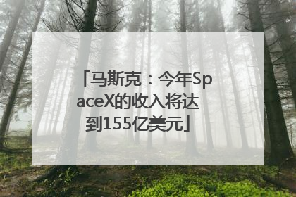 马斯克：今年SpaceX的收入将达到155亿美元